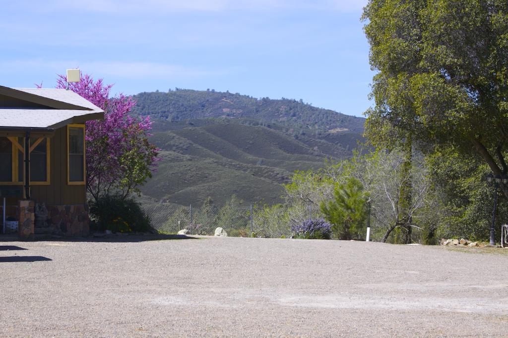 Yosemite Gold Country Lodge Coulterville Exterior foto